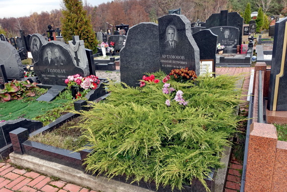 Заросшее хвойными кустами место захоронения и составной памятник из гранита